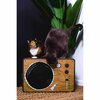 Park & Bench Unique Design Cat Scratcher, Cardboard - Fidelity, Large PB-F2